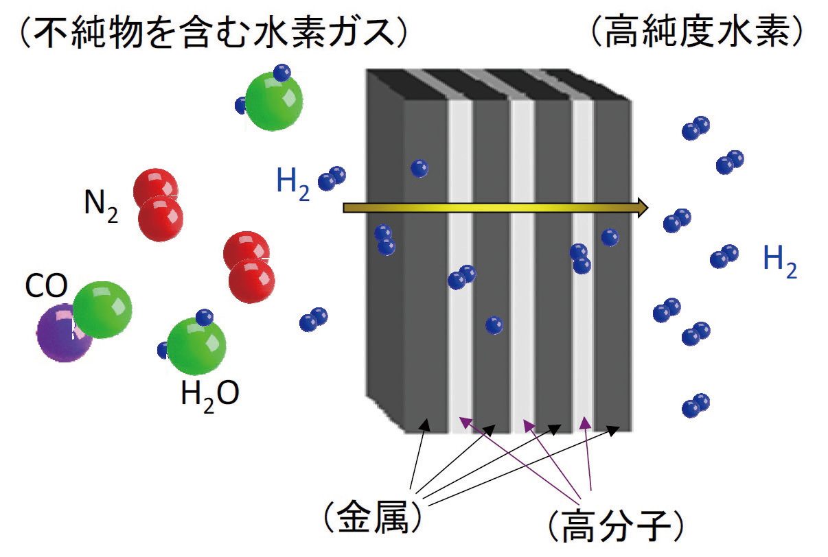 水素と材料の相互作用について研究