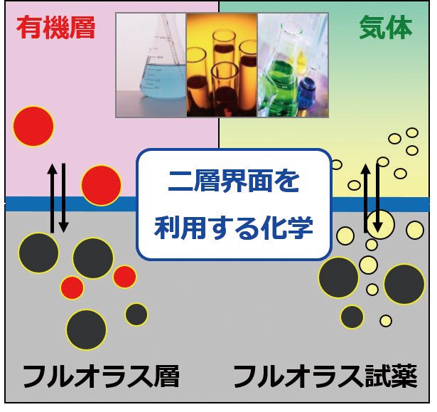 有機合成から生体の神秘に迫る