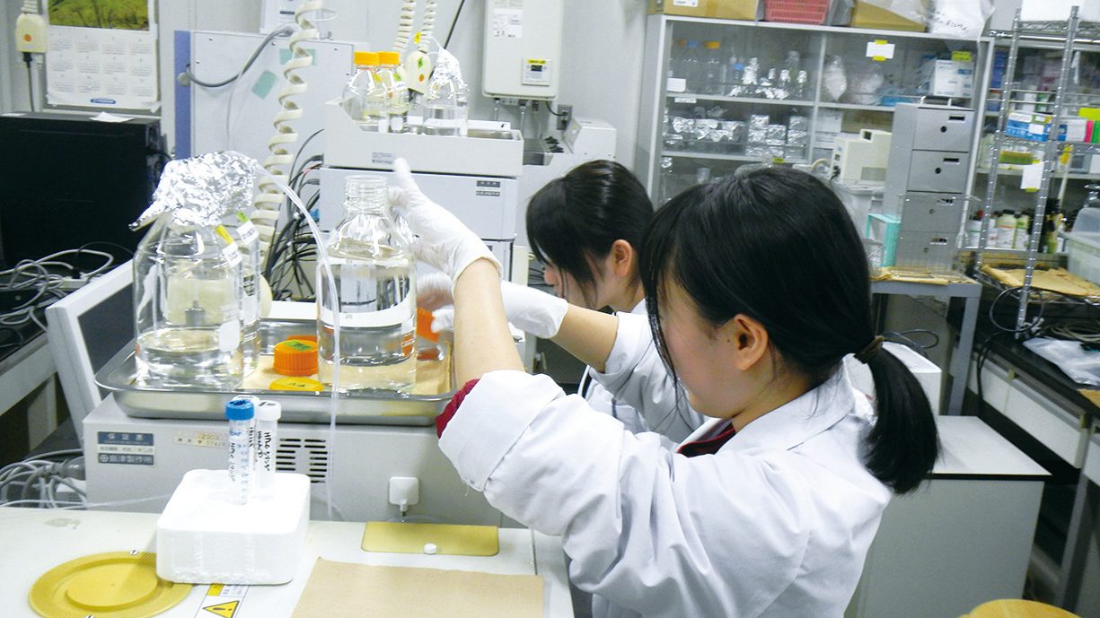 抗酸化分子をデザインして細腿のストレス抵抗性を高める