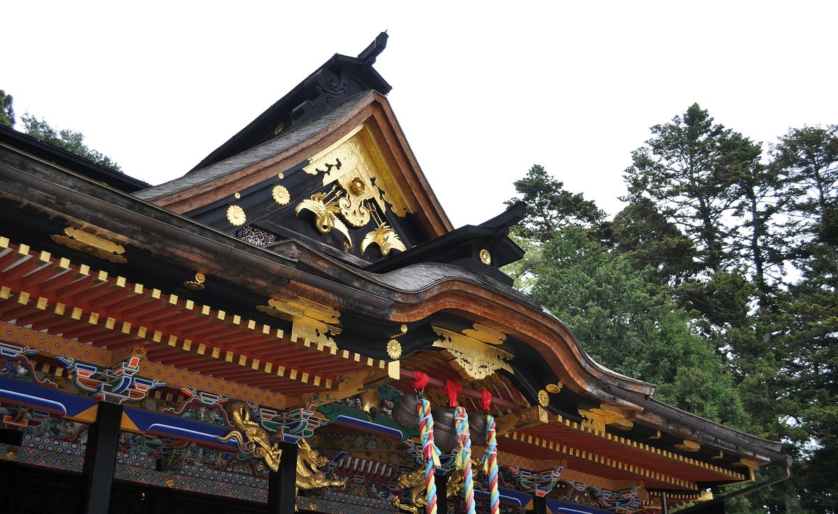芸術学科 美術学課程の特色