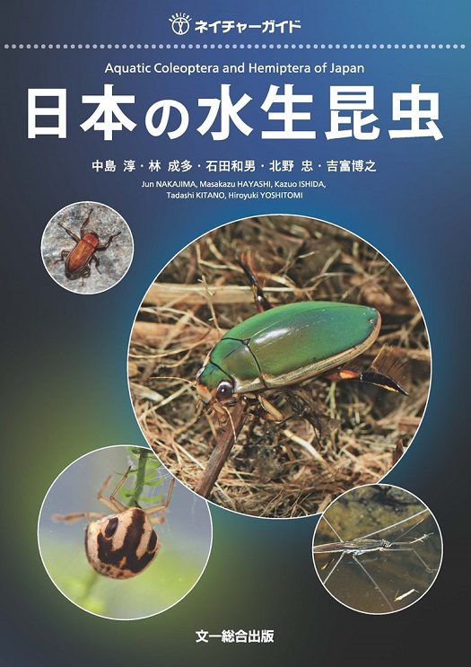 コブオニガムシ和名提唱 (4).jpg_525.jpg