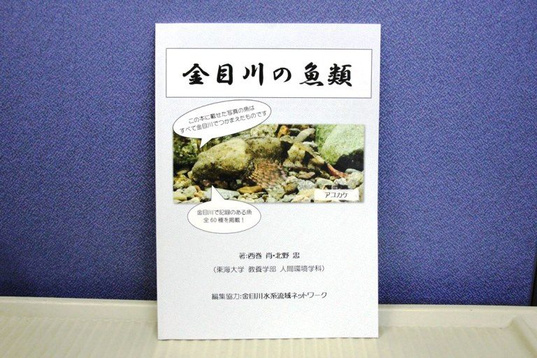 金目川の魚の図鑑 (3)_525.jpg