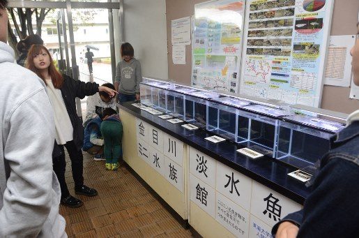 環境教室 (8)_341.jpg