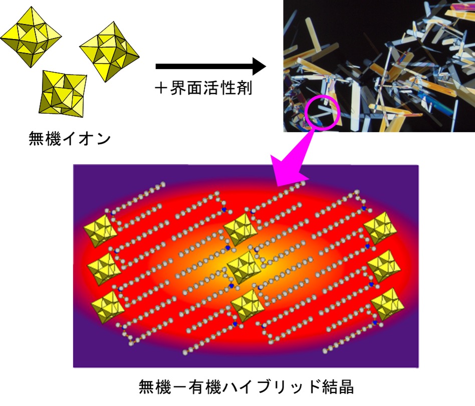 安全で環境負荷の少ない高機能電池材料の創製