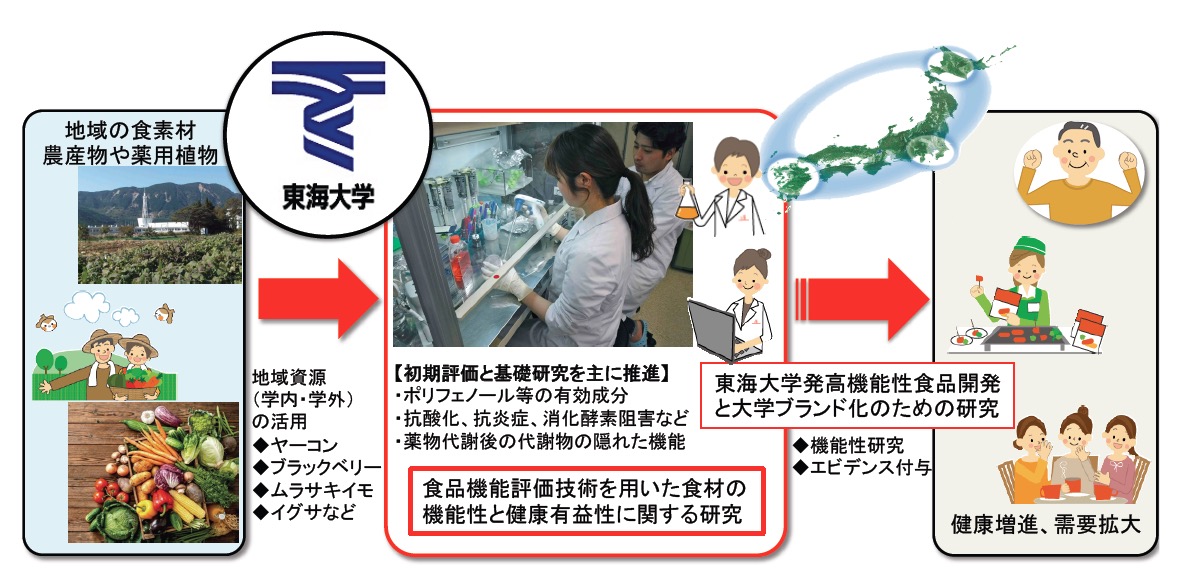 食品食材の良さを知り健康維持に役立てよう